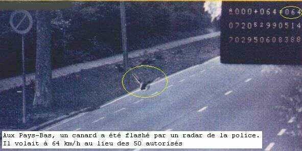 en finesse