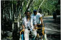 en limousinne