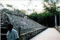 pelote