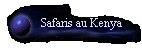  Safaris au Kenya